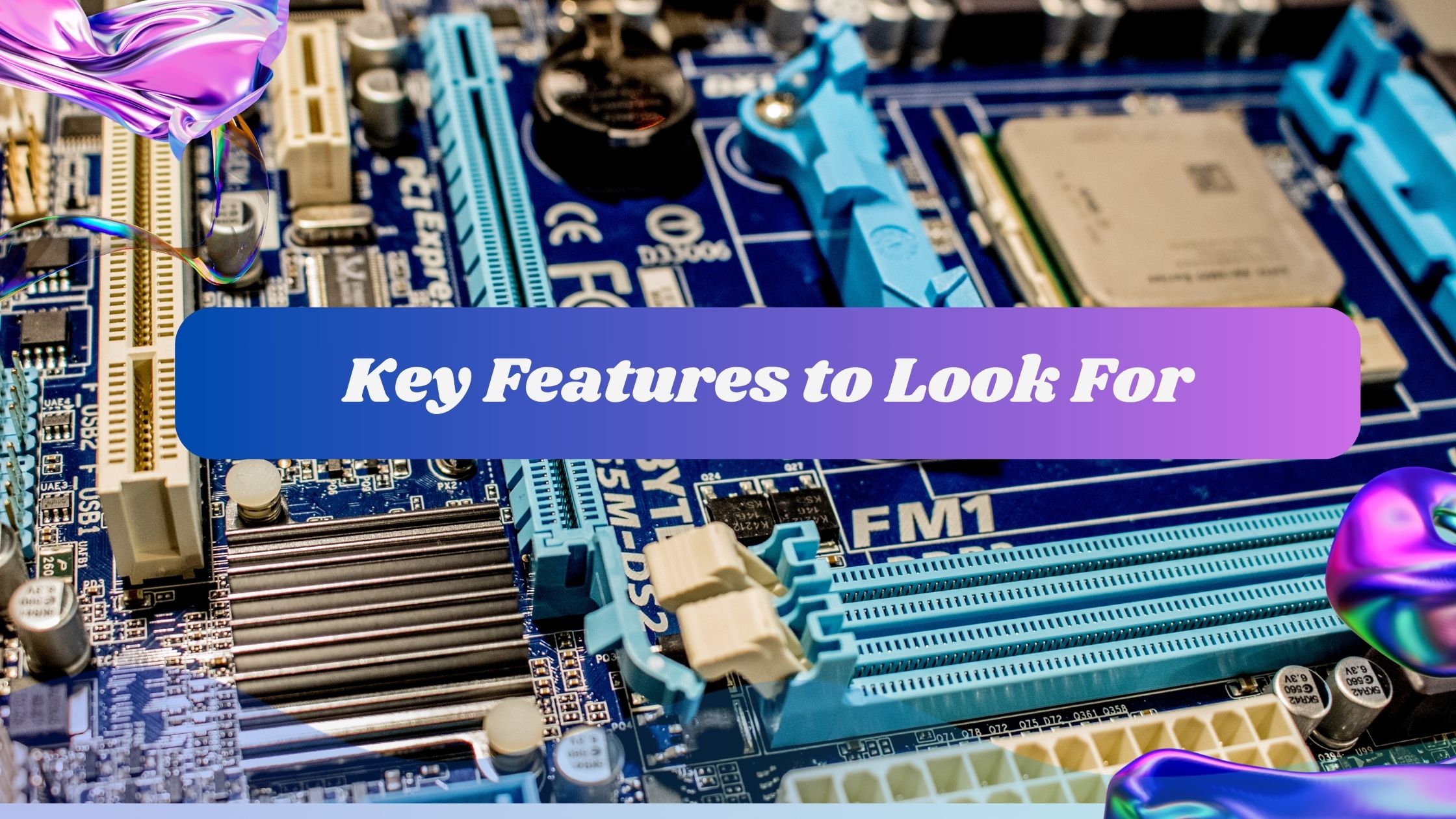 Key Features to Look For